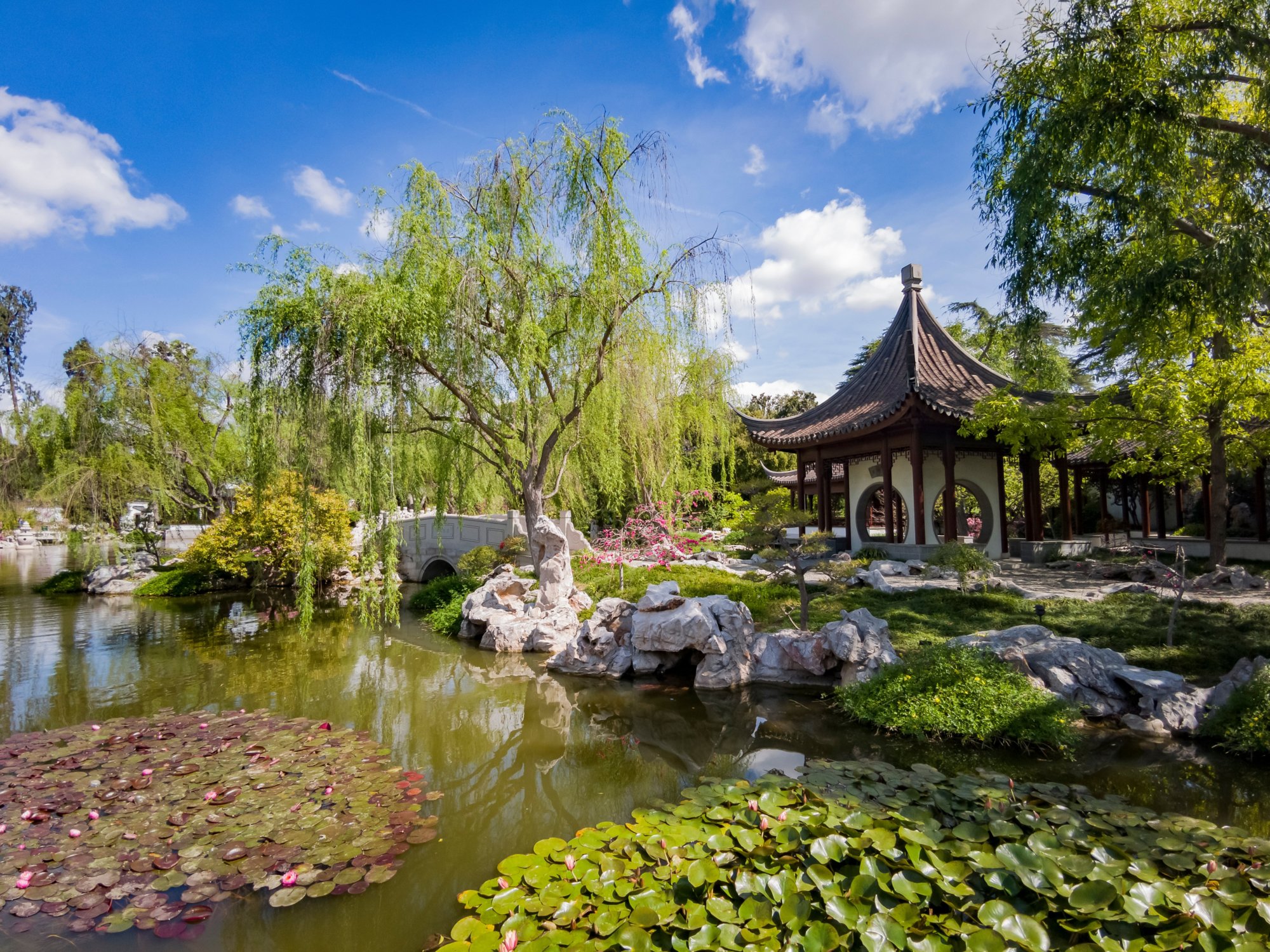 Los Angeles, APR 5: The beautiful Chinese Garden of Huntington Library on APR 5, 2019 at Los Angeles, California