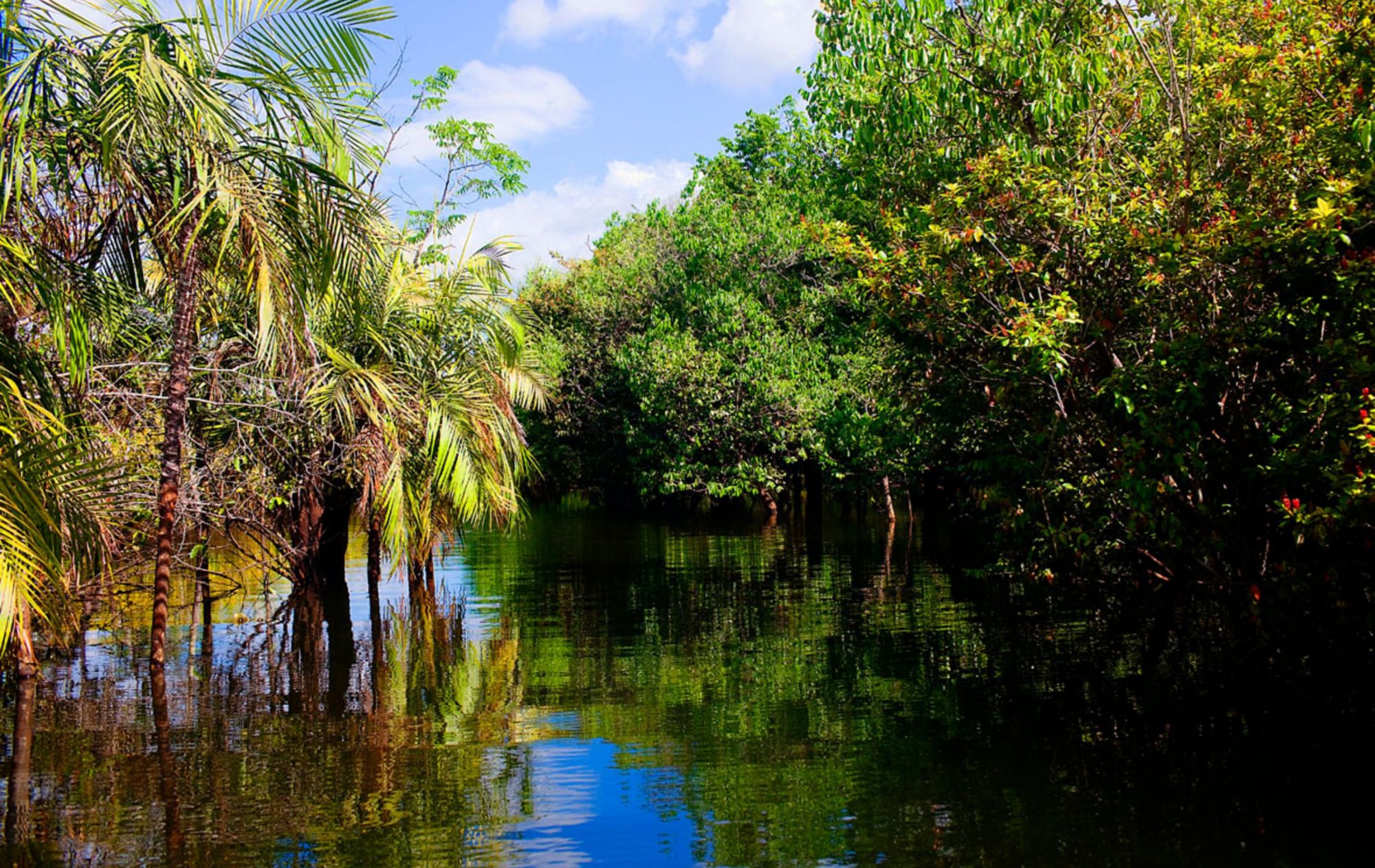 Santarém & Alter do Chão – Natur, Kultur und Amazonasflair