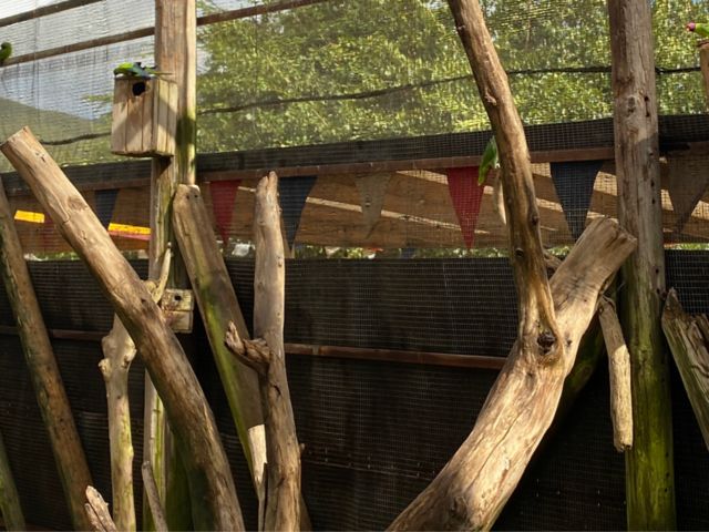 STM04_Birdpark_AKJ_hoch2.JPG