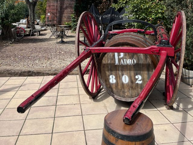 TAR11_CASAPADROVERMOUTH_001.JPG