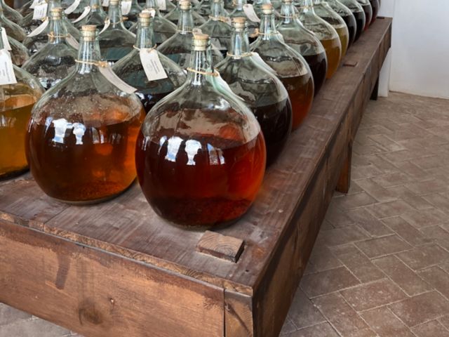 TAR11_CASAPADROVERMOUTH_006.JPG