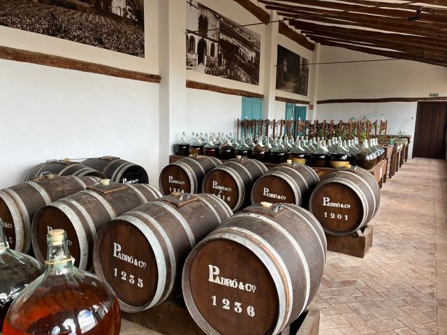 TAR11_CASAPADROVERMOUTH_007.JPG