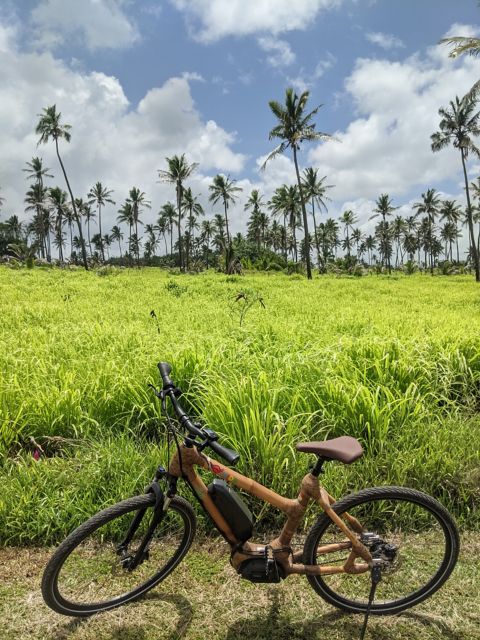 Die Highlights von Tongatapu und Strandvergnügen per E-Bike