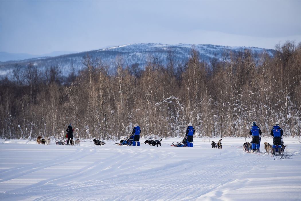Husky-Abenteuer im arktischen Winter