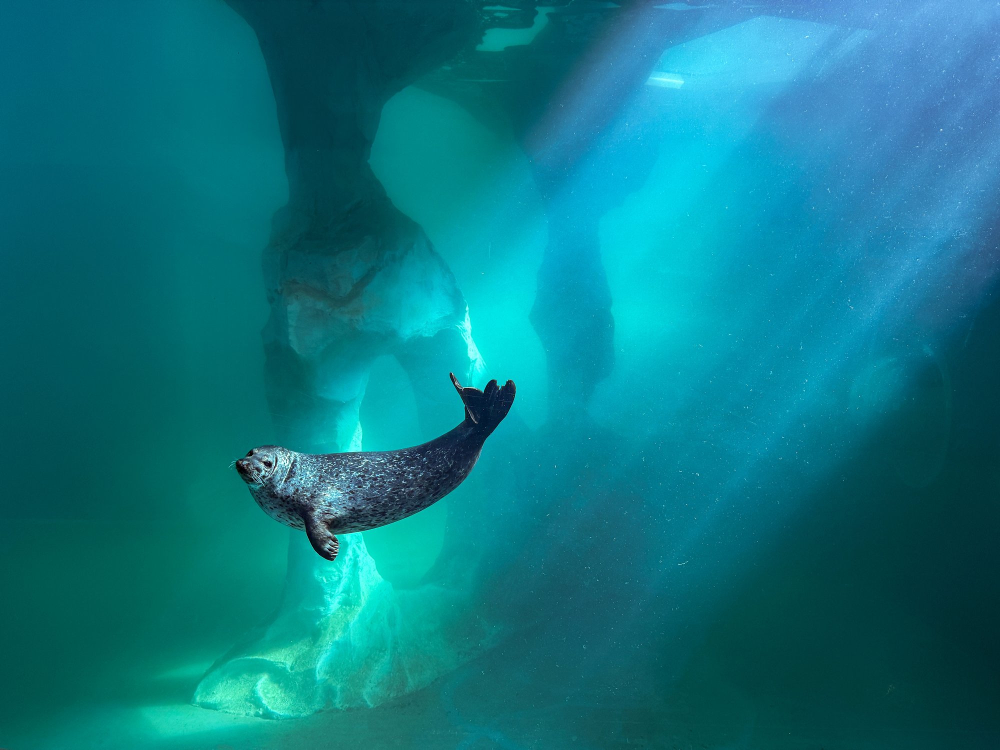 Polaria: Das nördlichste Aquarium der Welt