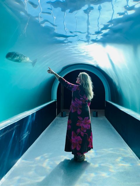 TROX01_SealPoolTunnel_quer_003.jpeg