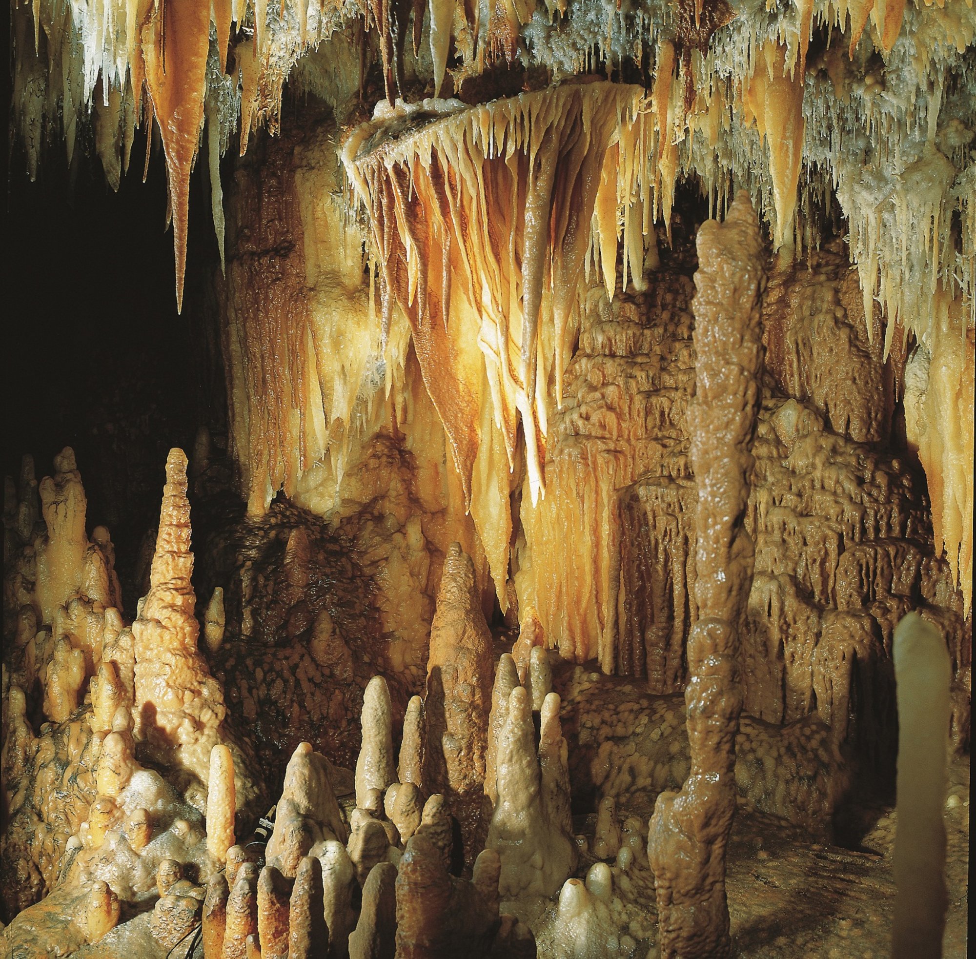 GROTTE