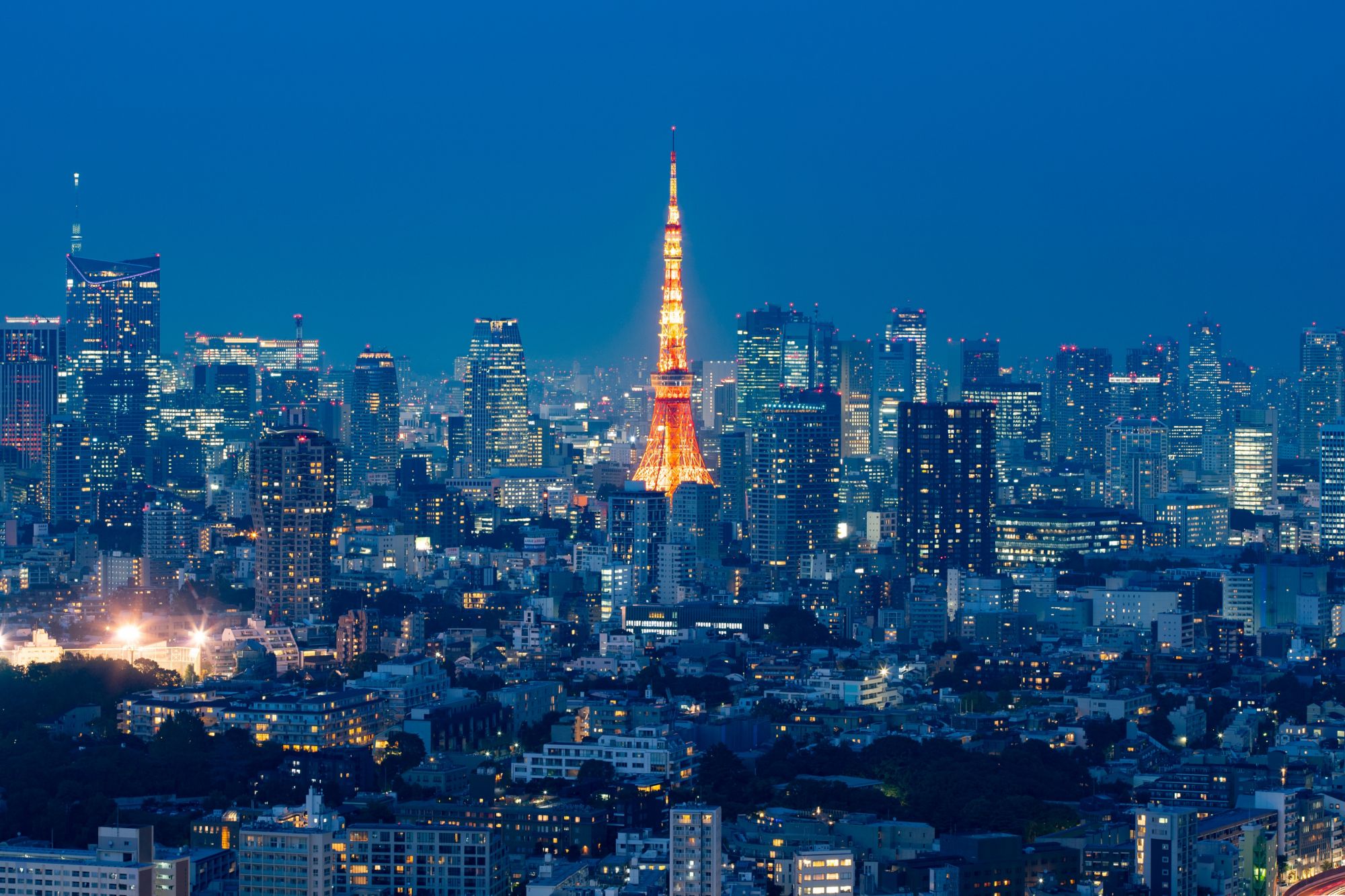 東京の夜景