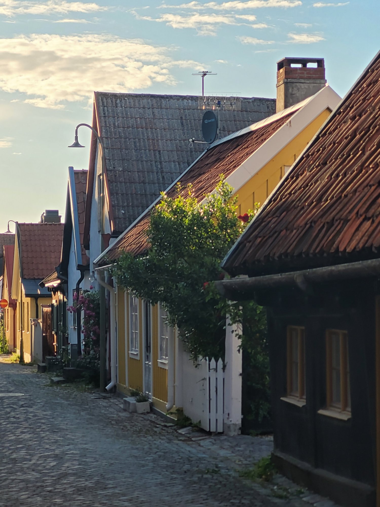 Kulinarisches Gotland und Visbys mittelalterliche Altstadt