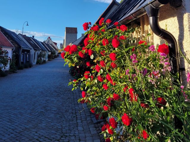 VBY_VBY11_oldtown_2_BG_hoch_2026.jpg