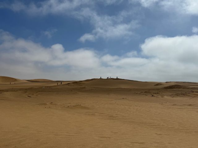 WVB_B04_Wueste_PR_2024_Quer3.jpg
