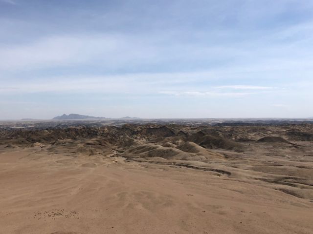 Die Schätze der Namib-Wüste