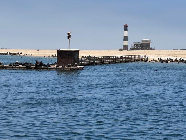 WVB_WVB02_Pelican-Point-Steg_PR_2024_quer.jpg