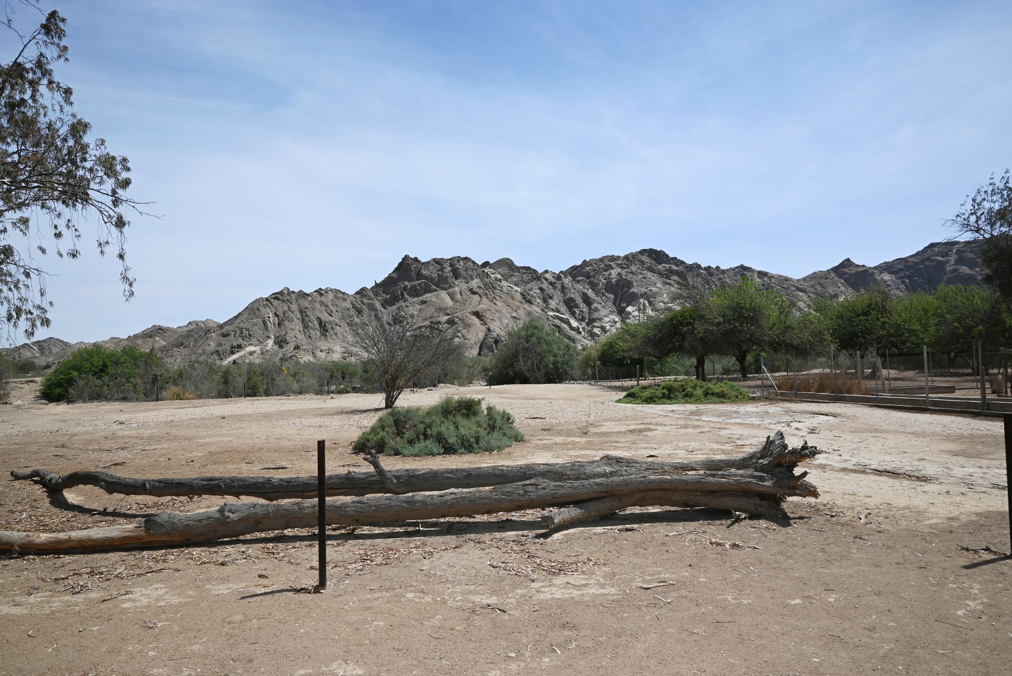 WVB_WVB03_Namib-Naukluft-Park_SO_2024_quer7.JPG