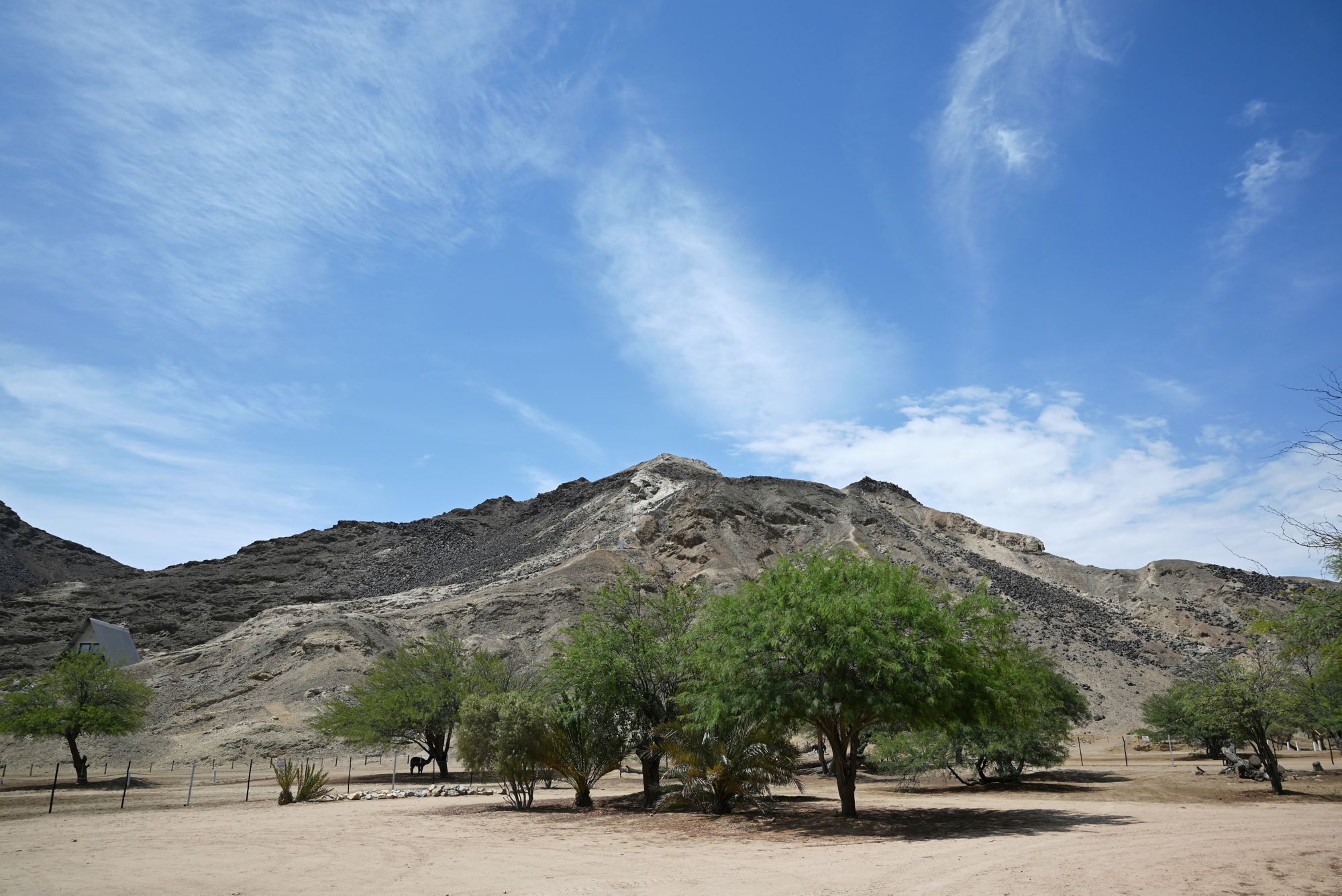 WVB_WVB03_Namib-Naukluft-Park_SO_2024_quer9.JPG