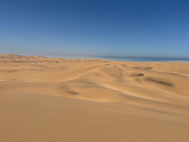 WVB_WVB22_Wueste_ST_2025_quer.jpg