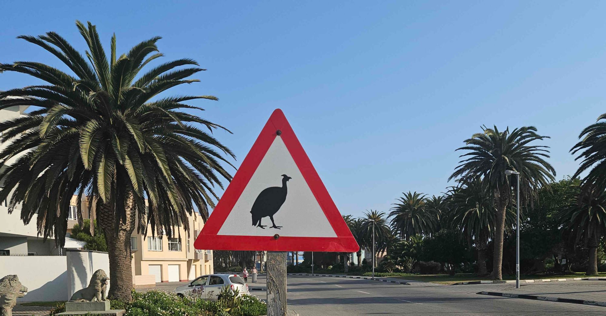 Flamingos, Dünenlandschaft, Swakopmund und Genuss