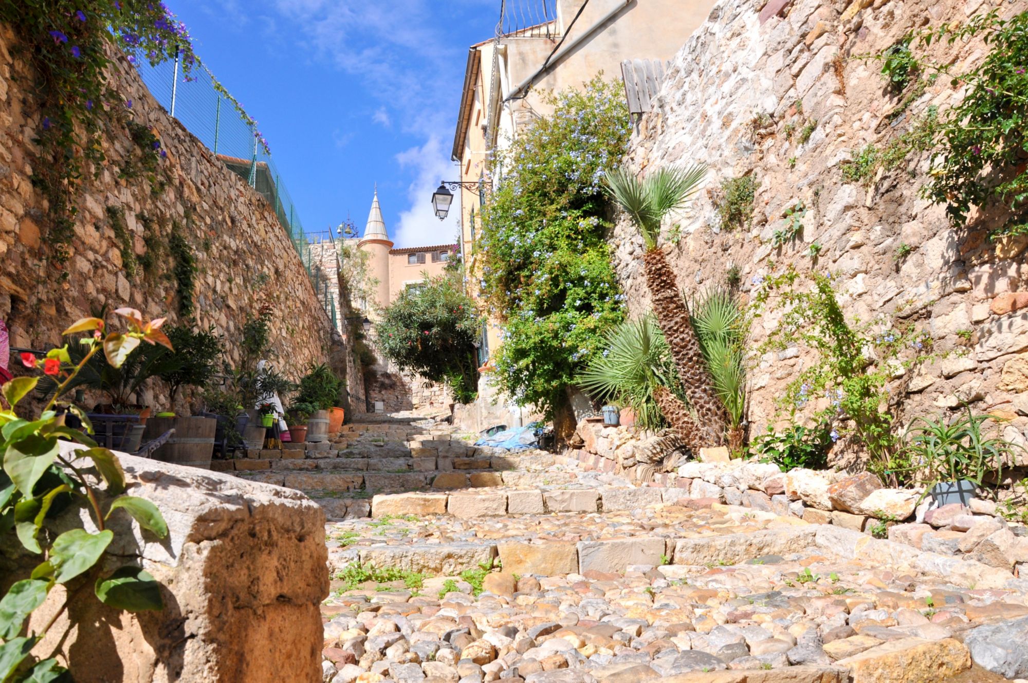 YNE09_FR_TLN_HyCresRueduRepos_003.jpg