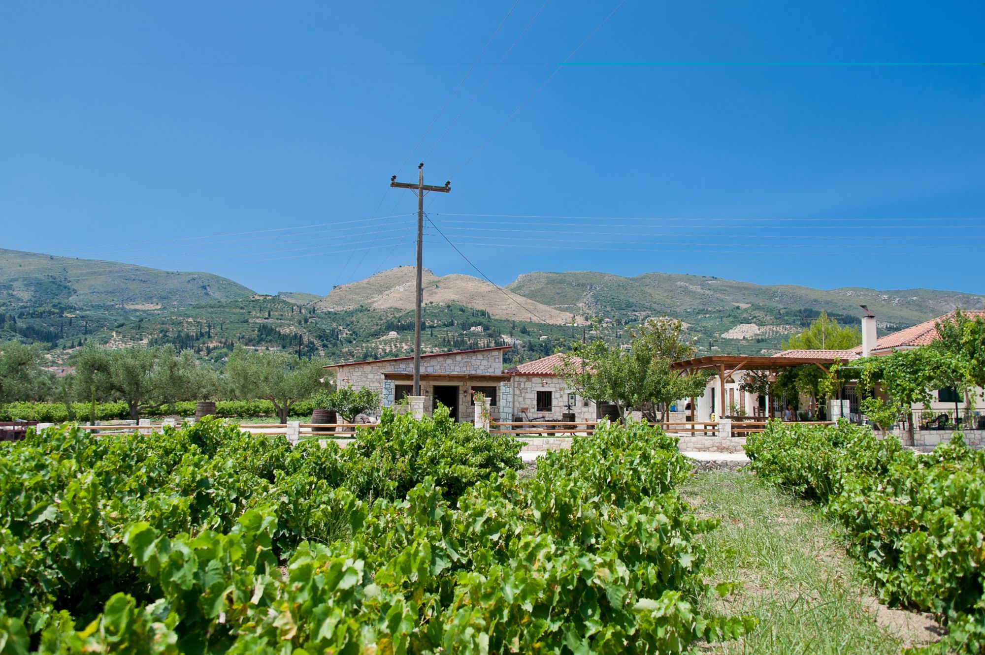 ZTH02_Grampsaswinery_004.jpg