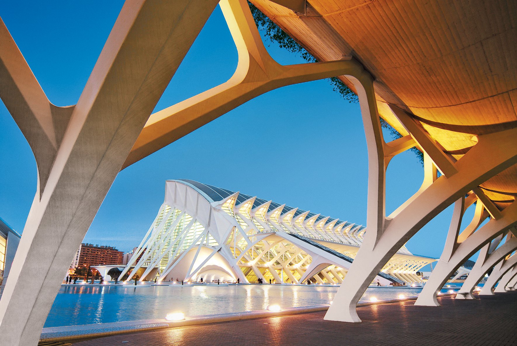 Pr&#237;ncipe Felipe museum of sciences, City of Arts and Sciences by S. Calatrava. Valencia, Comunidad Valenciana, Spain