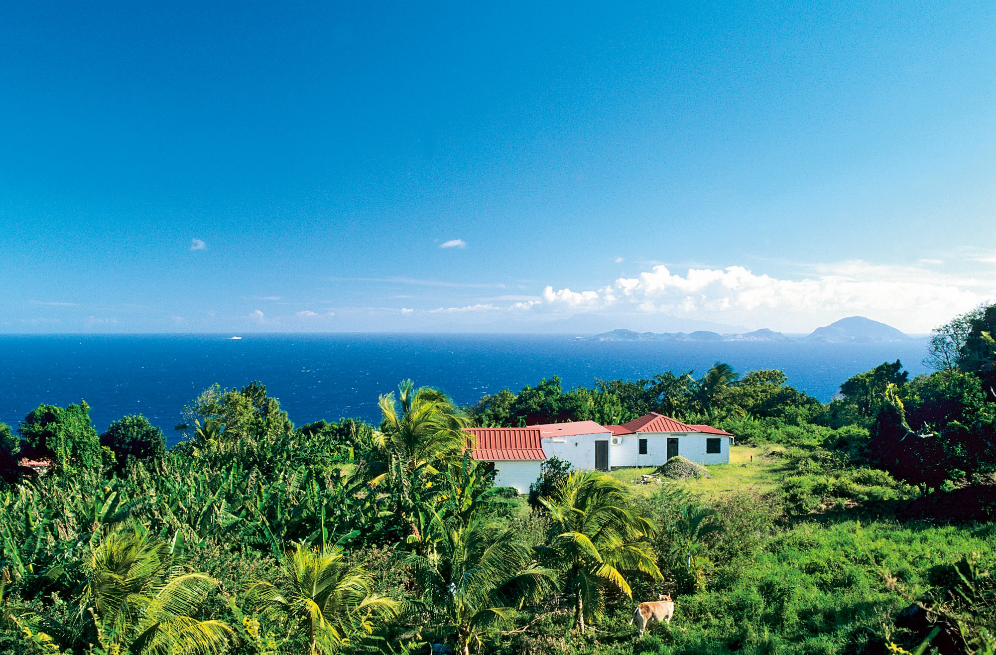 AY55X3 French Caribbean Caribbean Islands Guadeloupe Basse Terre Trois Riviere