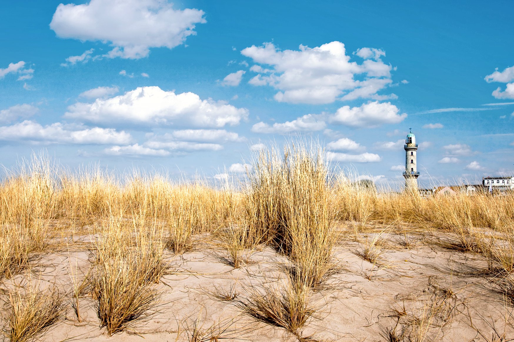 Dünen am Strand von Warnemünde 
