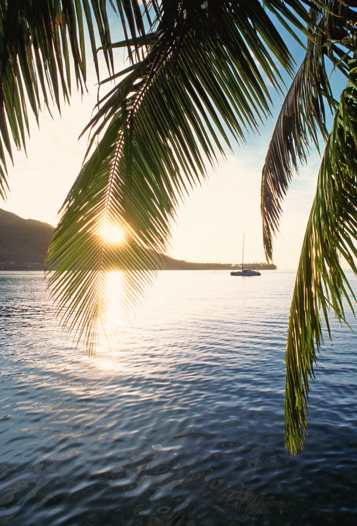 A866R2 Cooks Bay Moorea French Polynesia