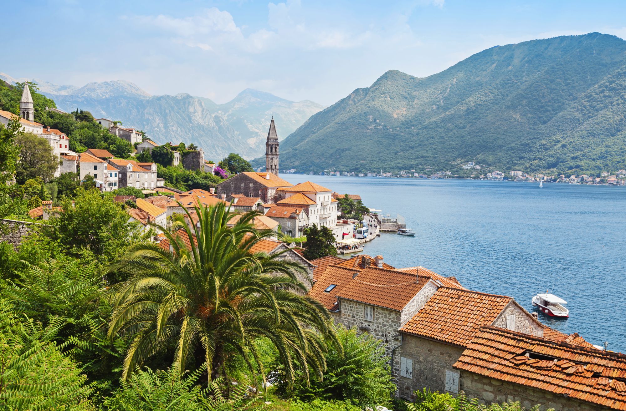 Kotor