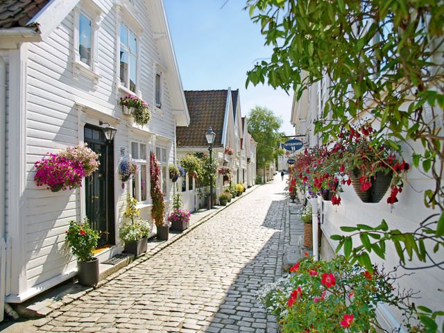 historisch,altstadt,holzhaus,norwegen,stavanger,gammle,fischerhaus,blume,blumen,pflanze,weiss,europid,kaukasisch,europaeisch,blumenschmuck,blumengeschmueckt