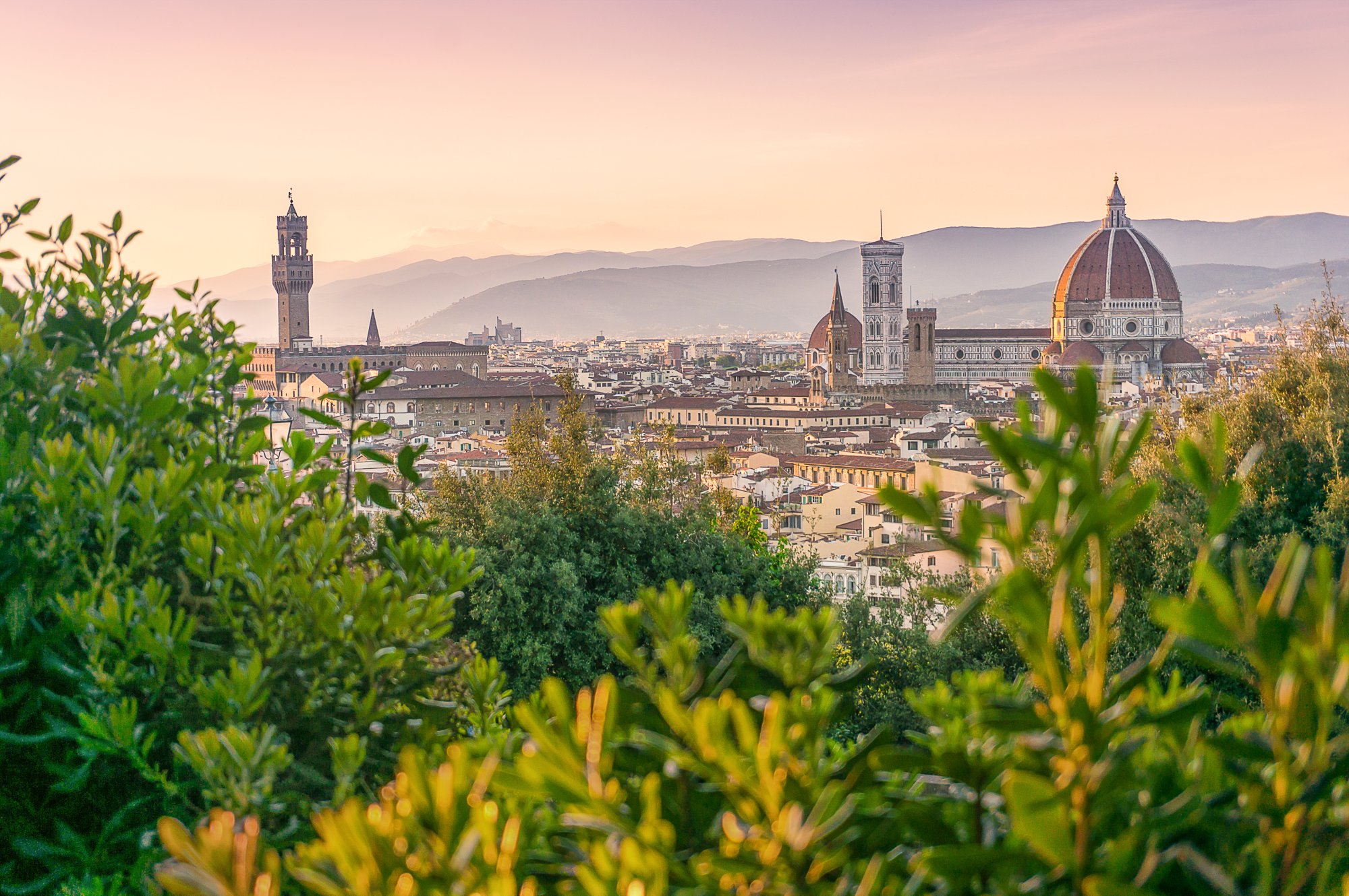 500px Photo ID: 67782553 - Florence appearing through the bushes.