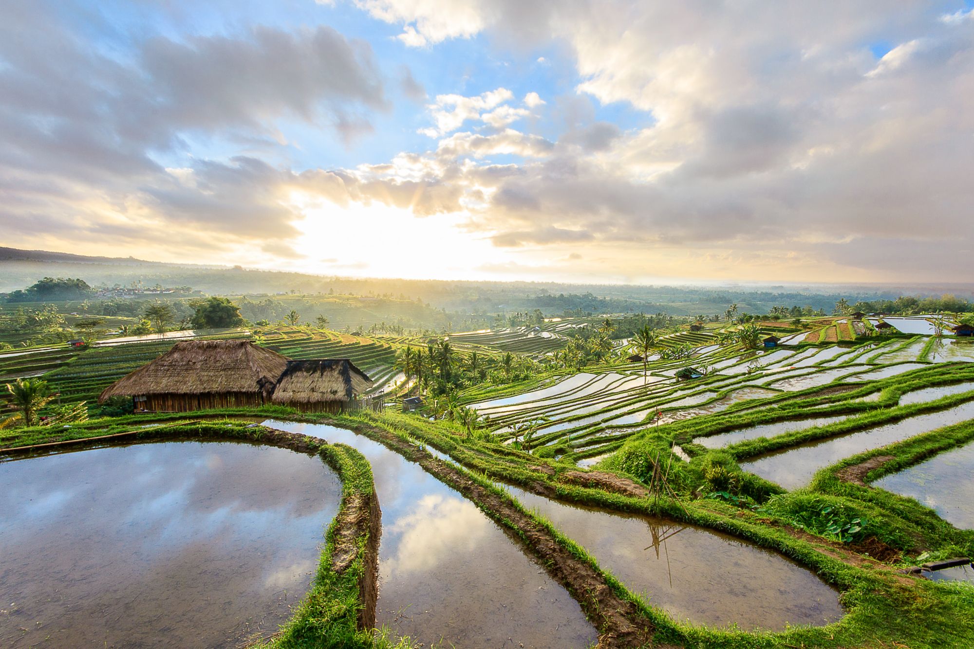 Bali