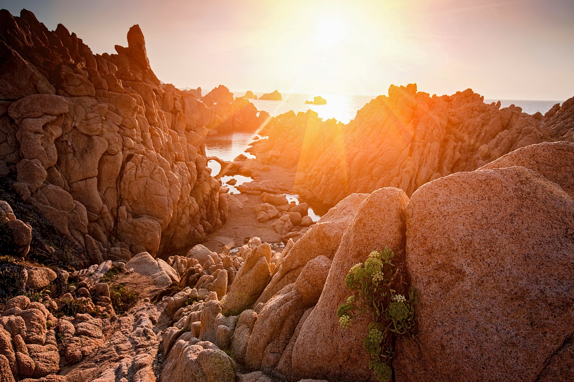 Nationalpark "La Maddalena" in Sardiniens Norden.