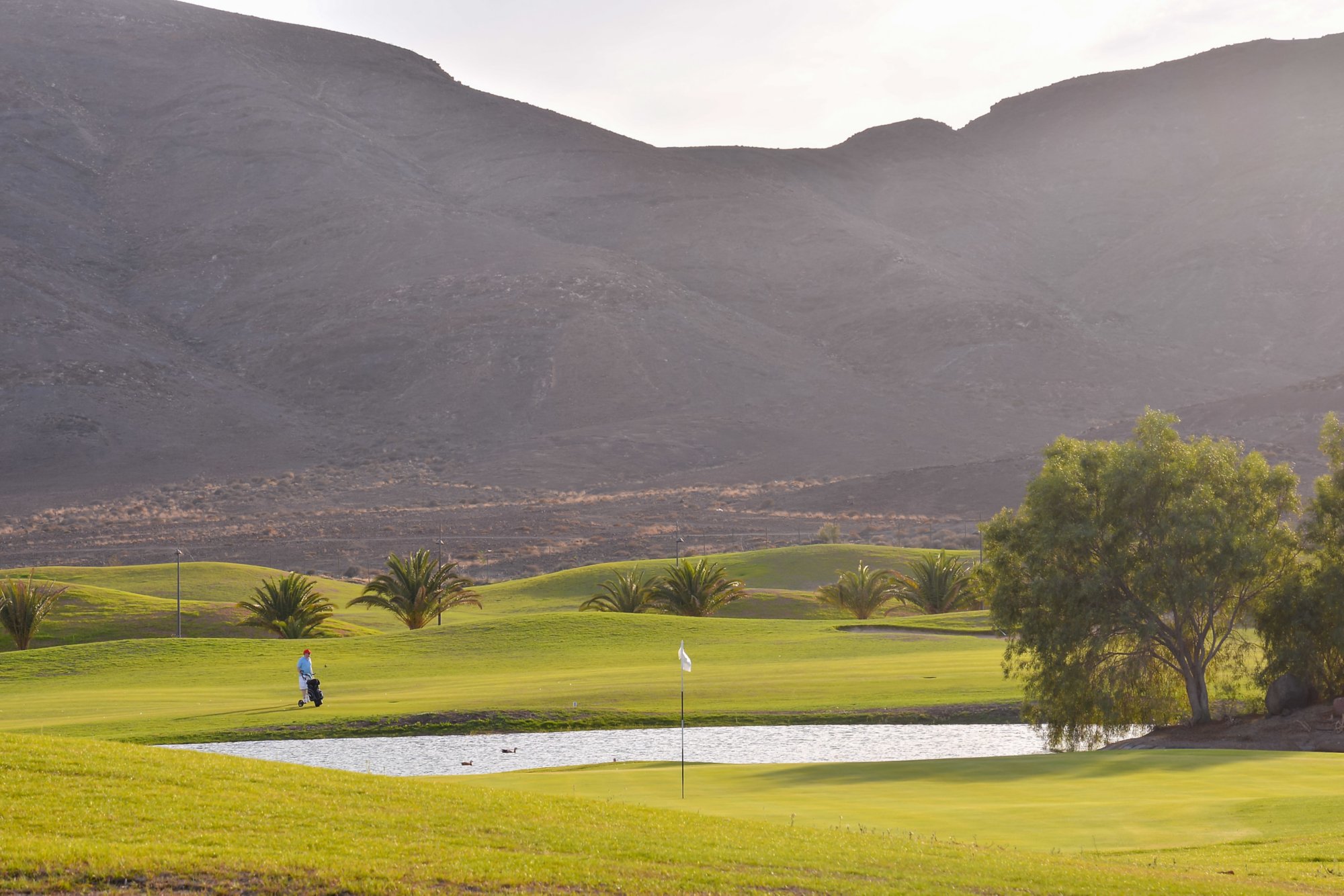 Golf course with gorgeous green in fuerteventura spain canary islands