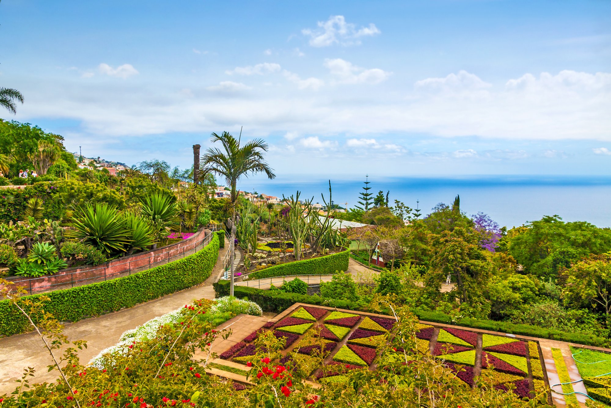 Botanical garden in Funchal, Madeira, Portugal 