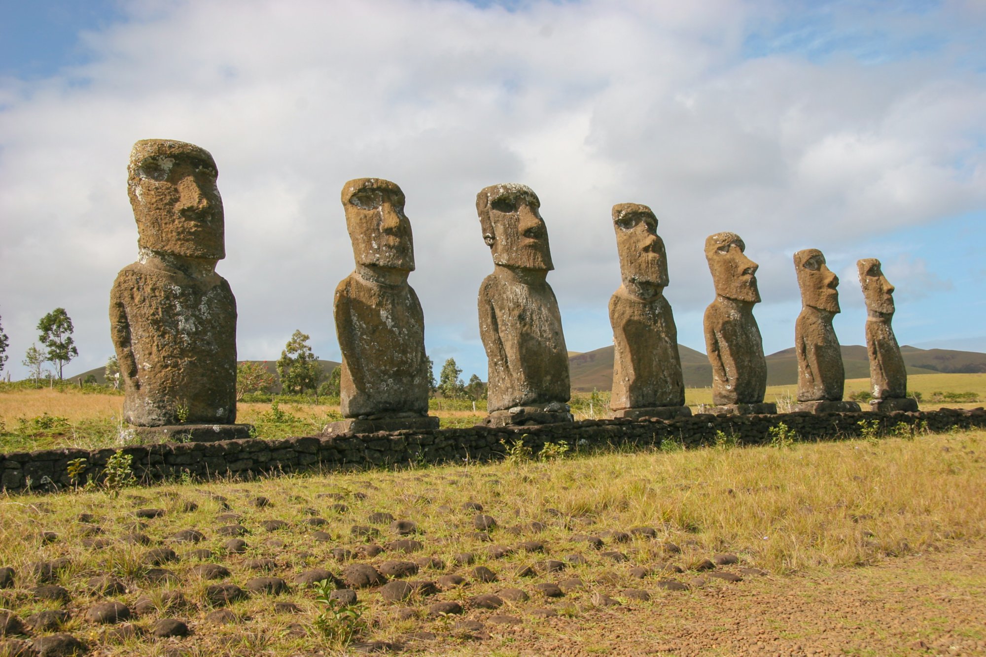 Steinskulpturen der Moai