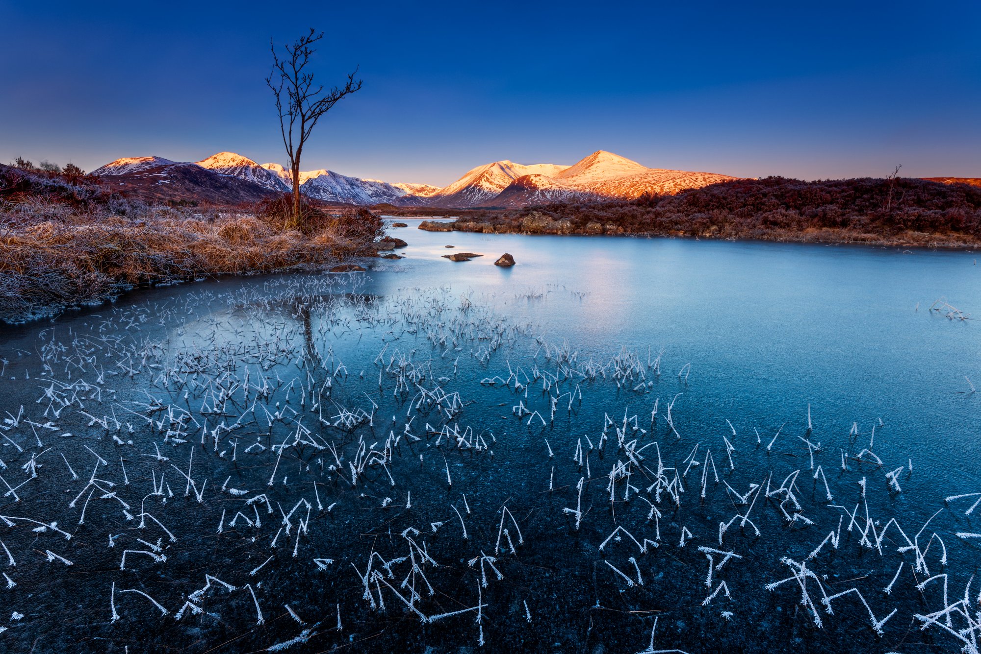 Rannoch Moor with a frozen Lochna na Stainge Loch. Hoar frost sticks to protruding reeds on the frozen water. Taken at dawn with the Black Mount mountains lit up orange from the rising sun. Scottish Highlands. UK.