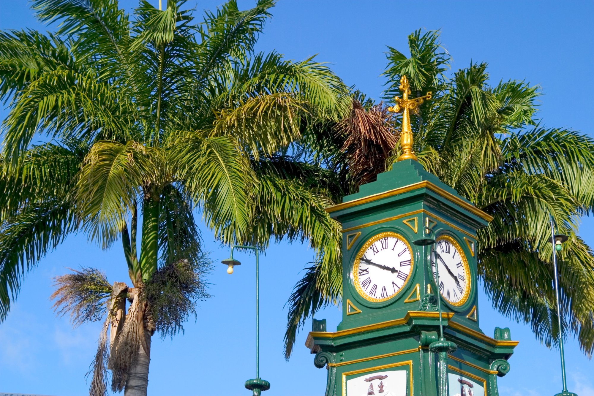 Clock tower in Basseterre, St. Kitt's. Palm trees fill in blue sky in background. We have many images from St. Kitt's in our portfolio.