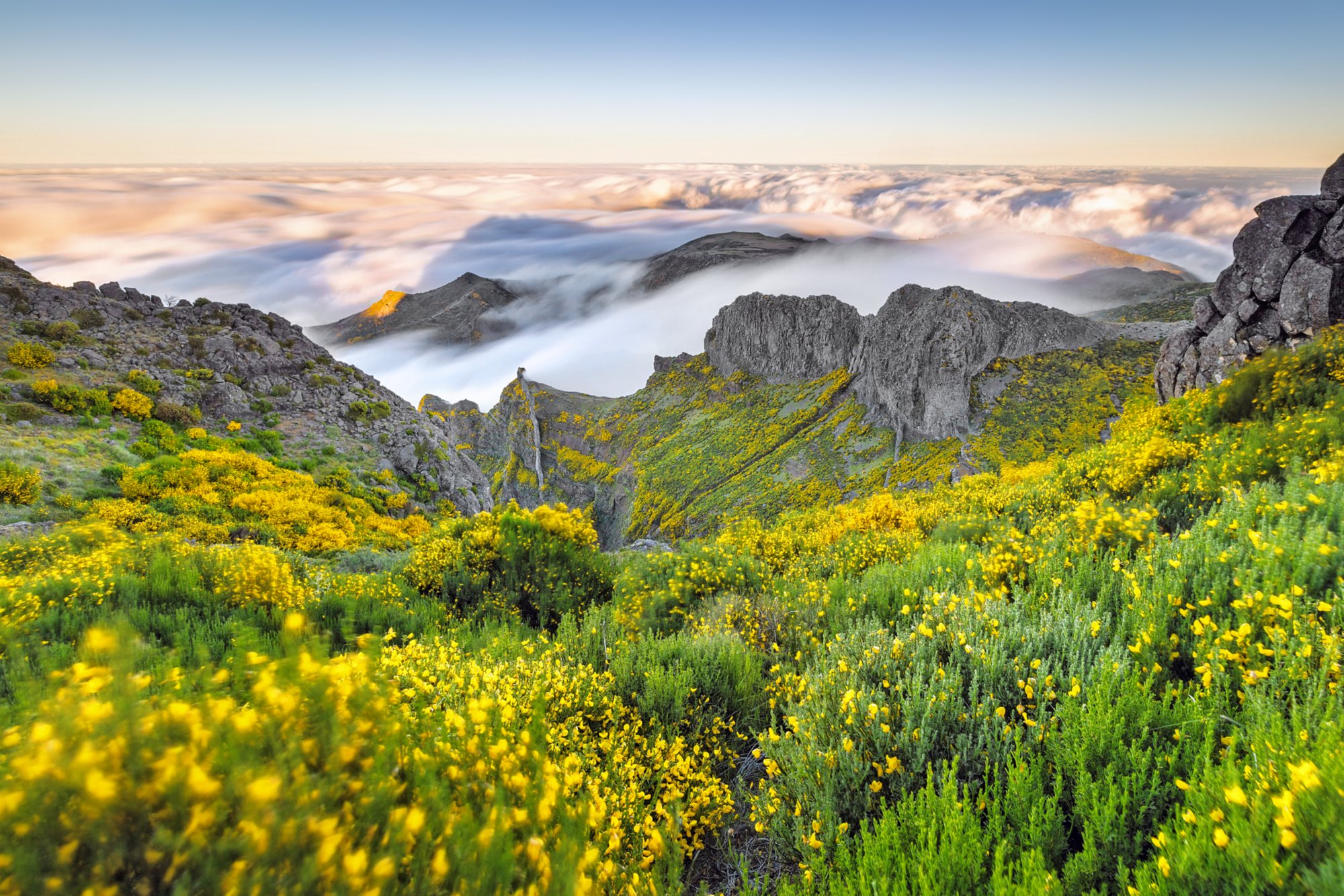Madeira