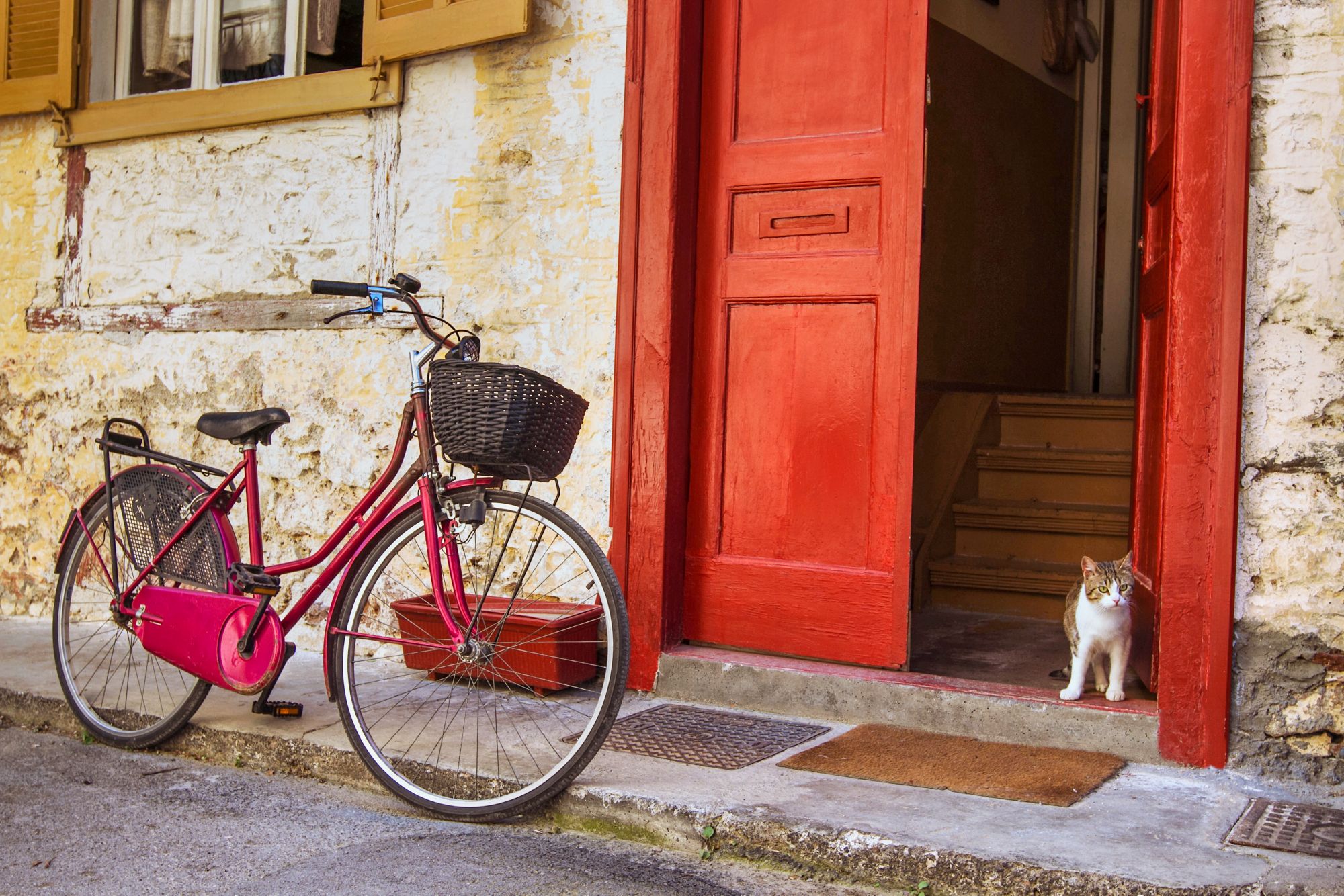 vintage bicycle and cat on the street, Greece