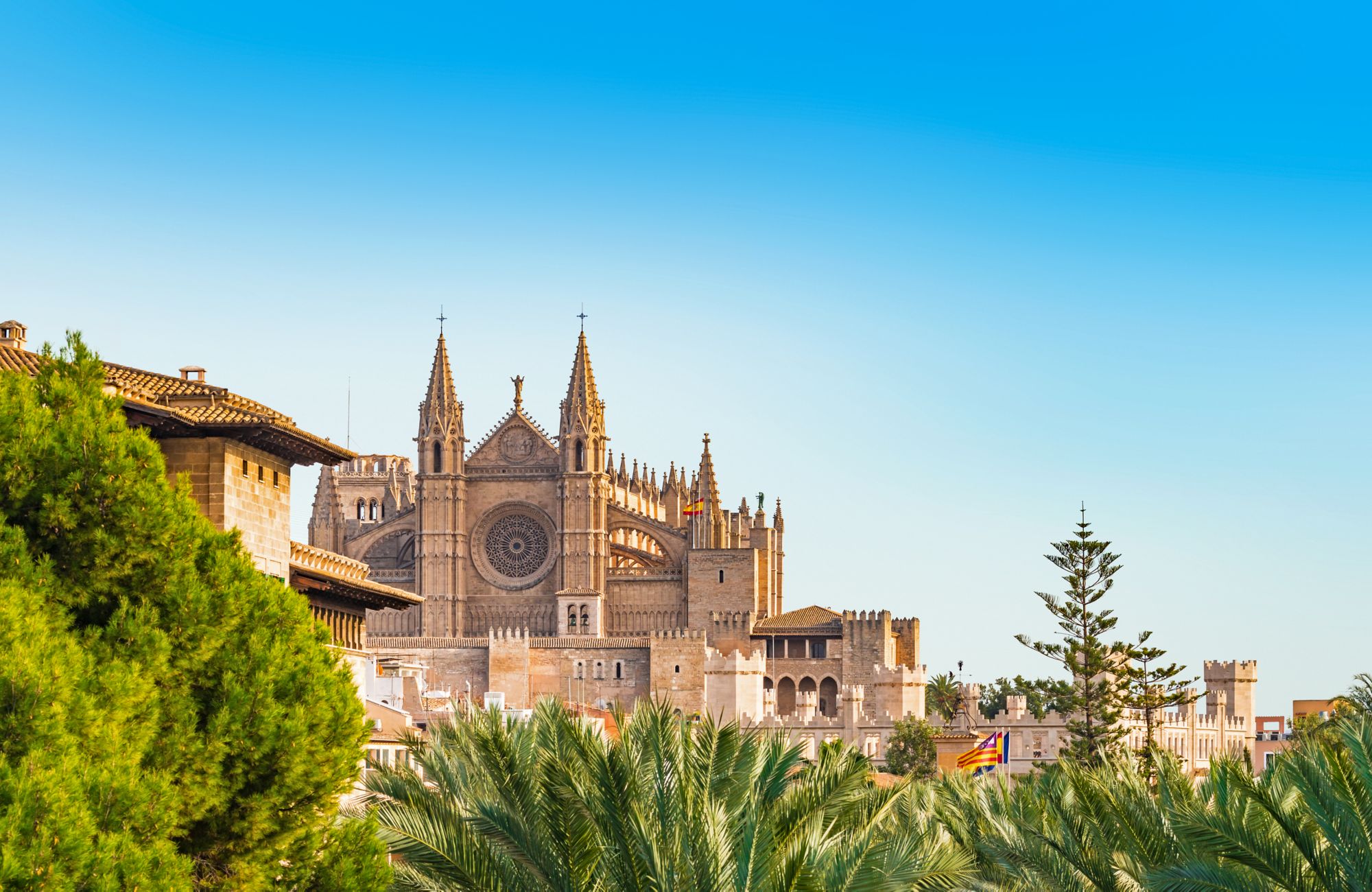 PRIVAT-Tour: Palma de Mallorca - ganztags - Auto