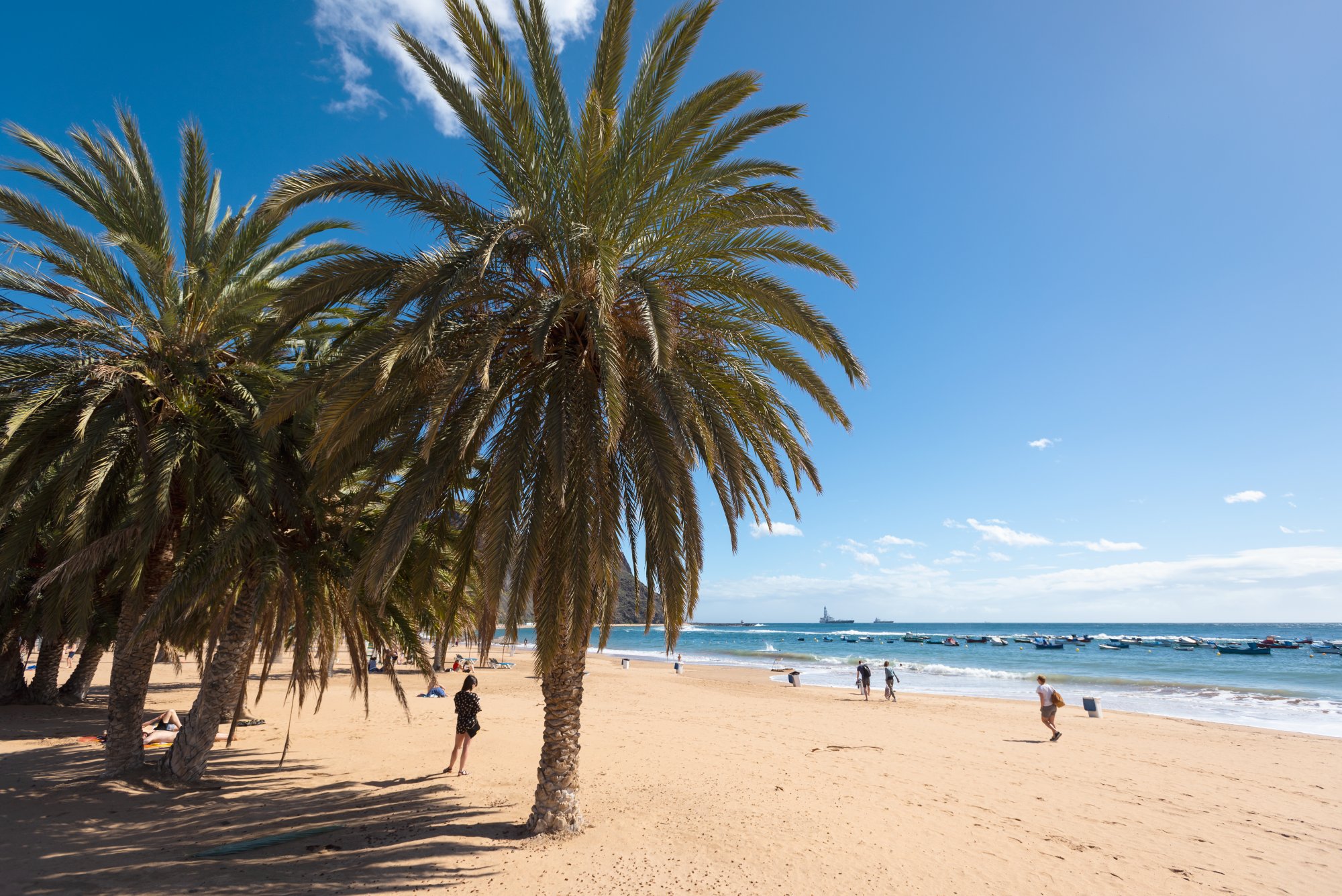 Strand und Palmen auf Teneriffa