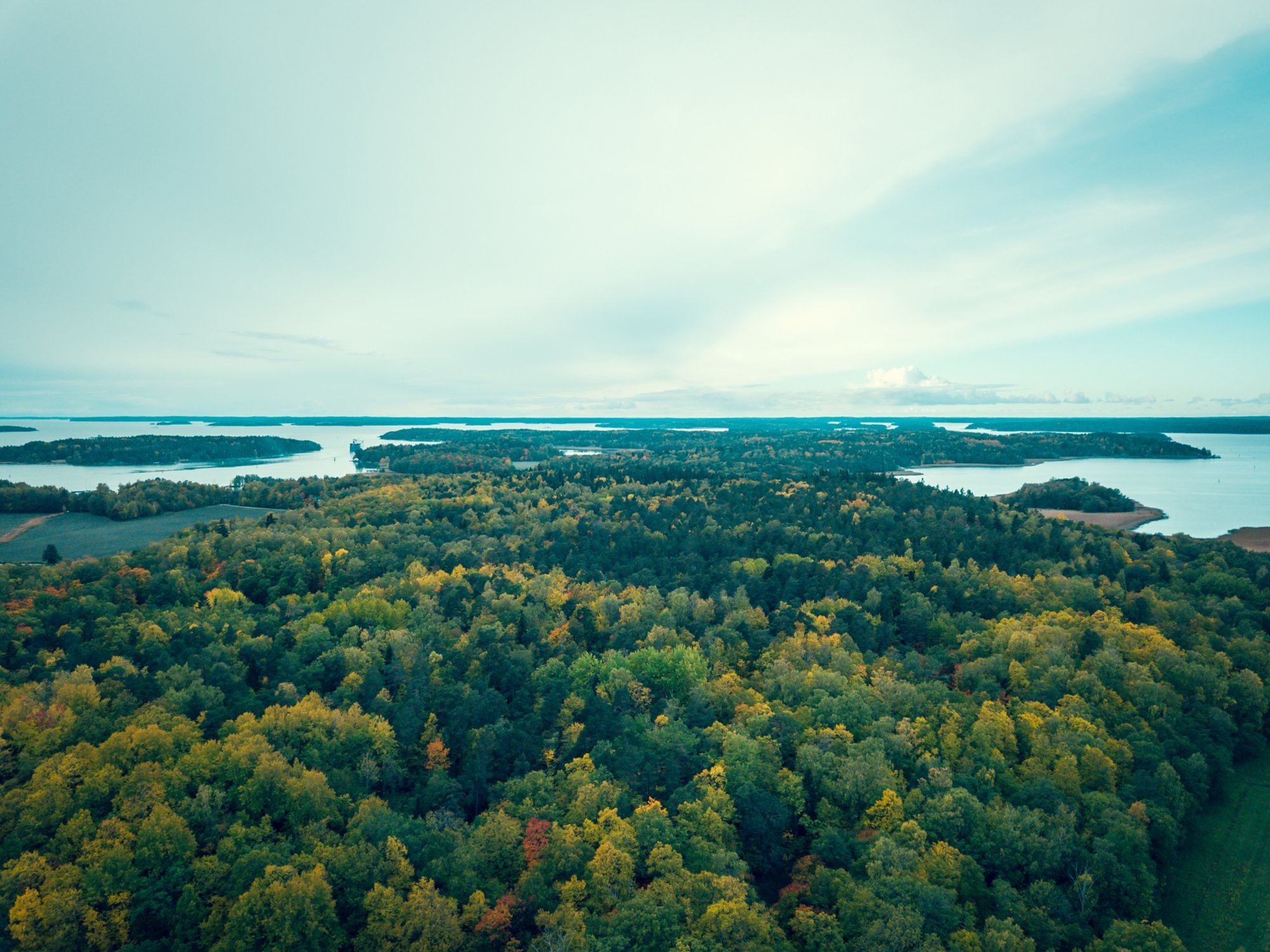 Ruissalo national park at October. Turku, Finland.