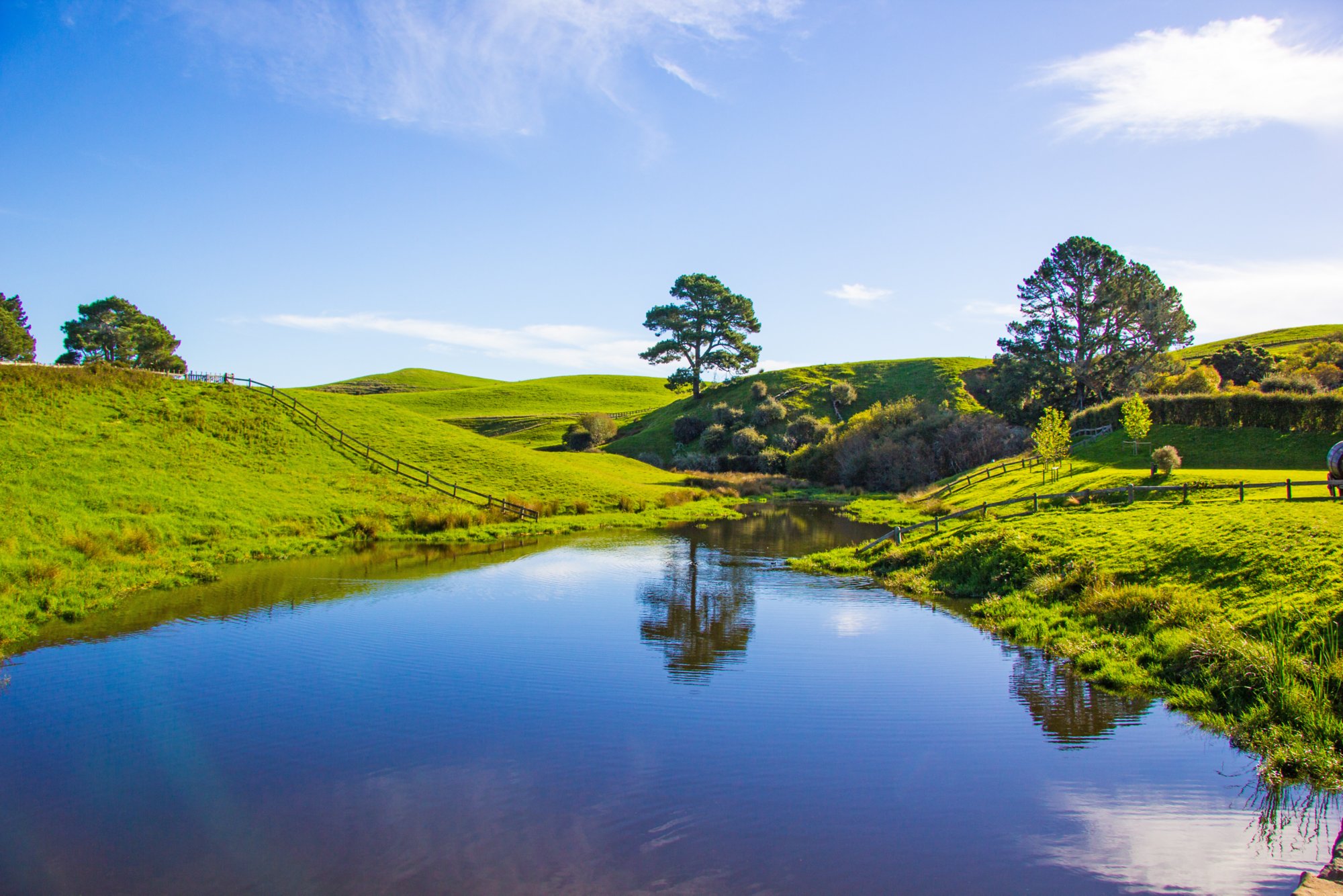 Hobbiton Filmlandschaft von Herr der Ringe in Neuseeland