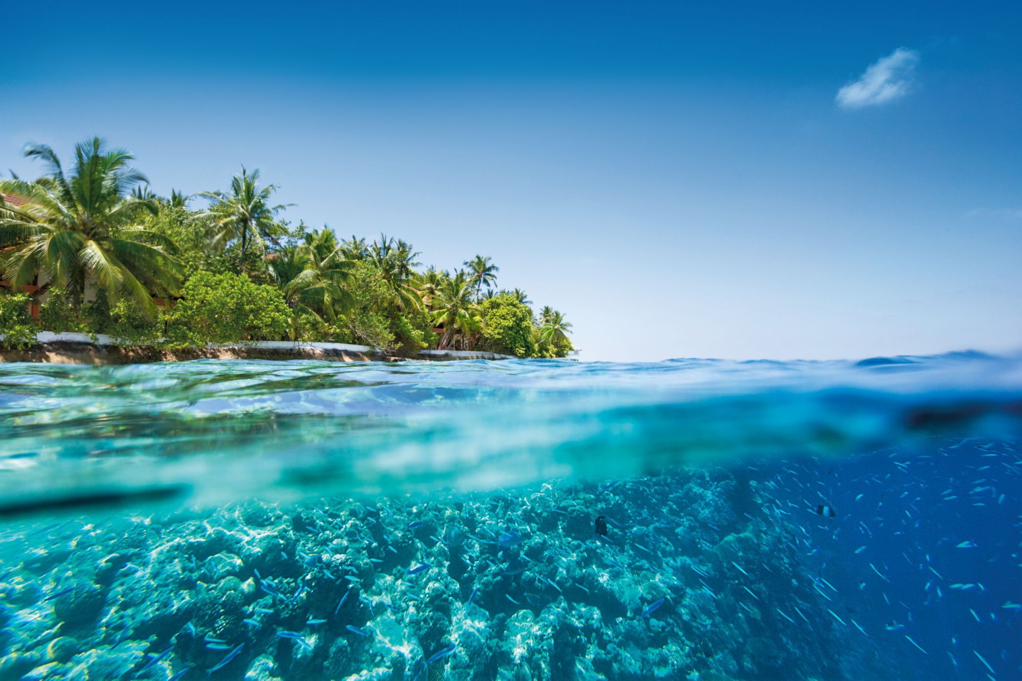 Malé (Malediven)