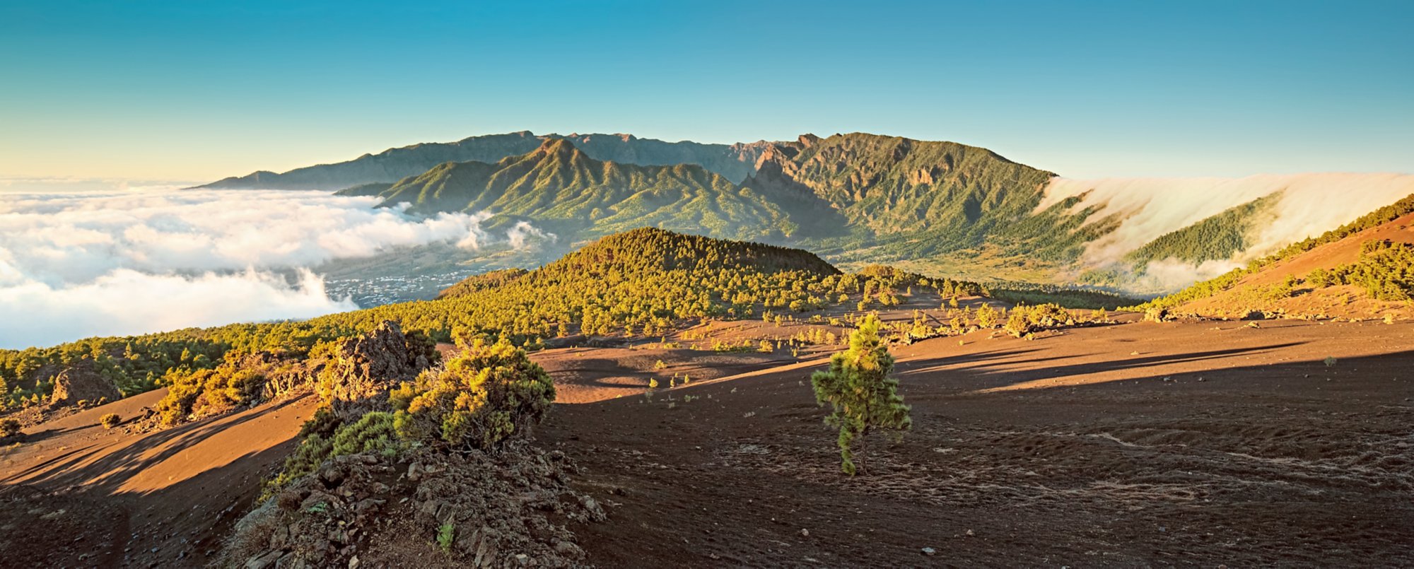 View of "Cumbre Nueva" mountains (La Palma island. Canaries. Spain)