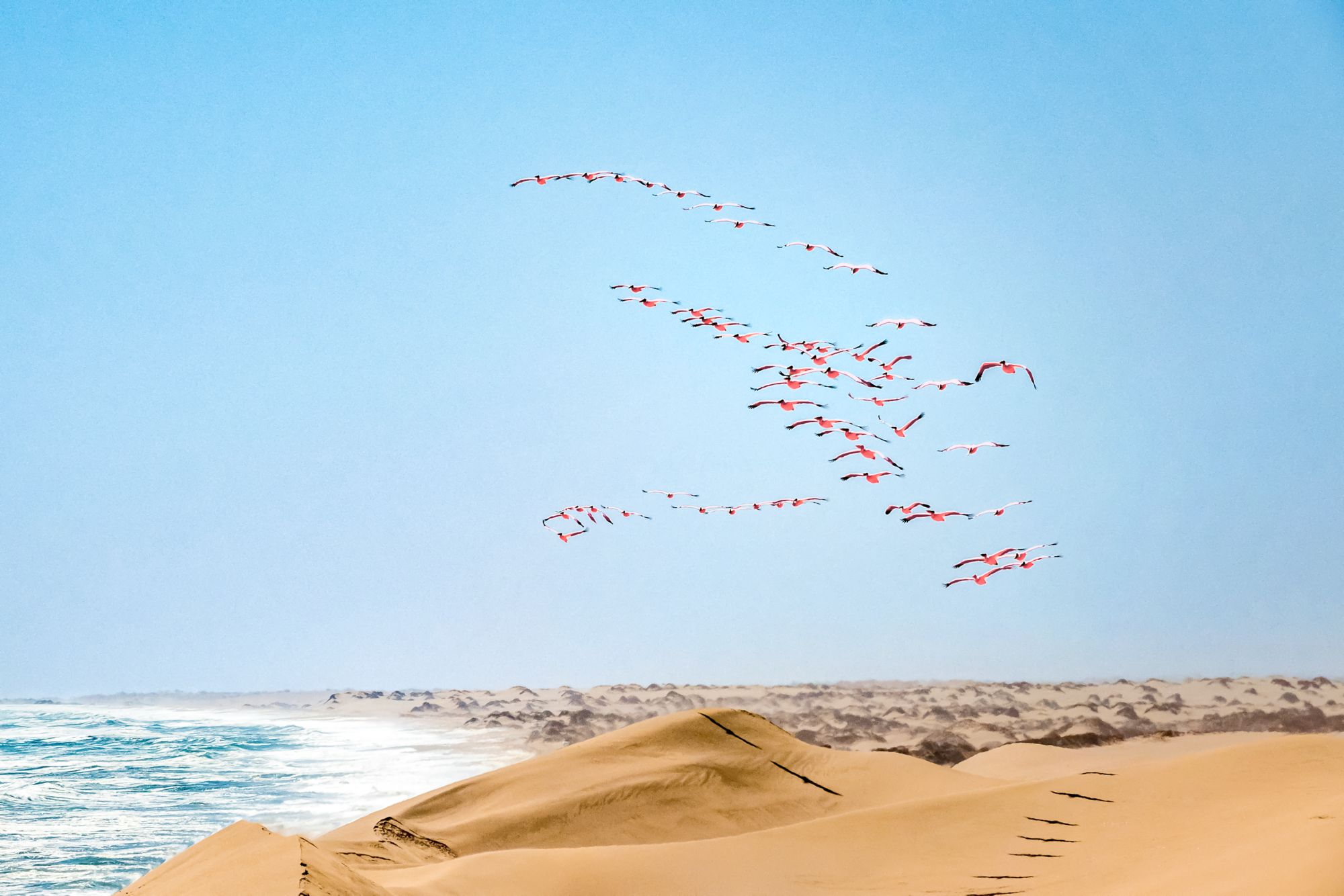 Walvis Bay