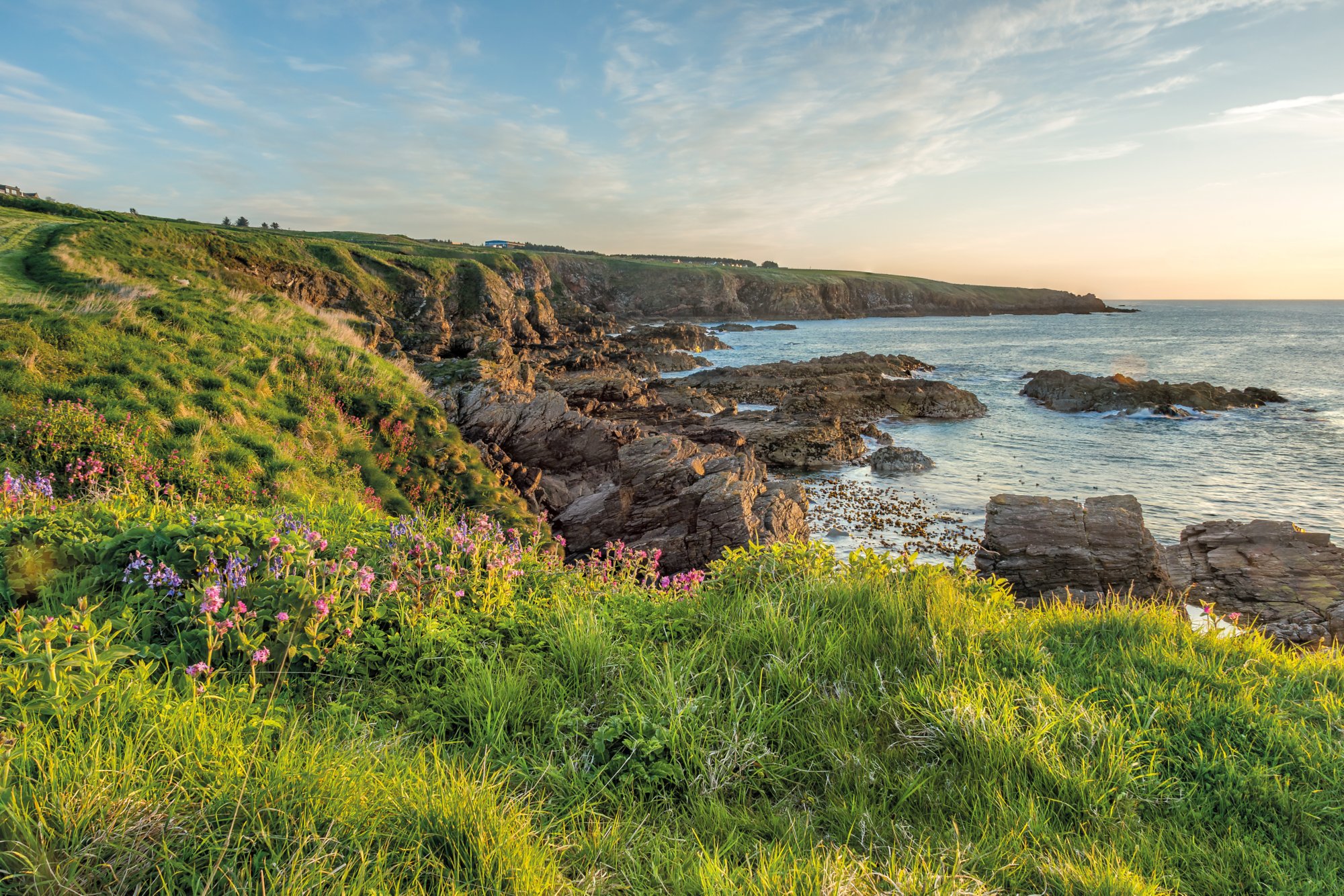 The Cove coastline, Aberdeen, Aberdeenshire.