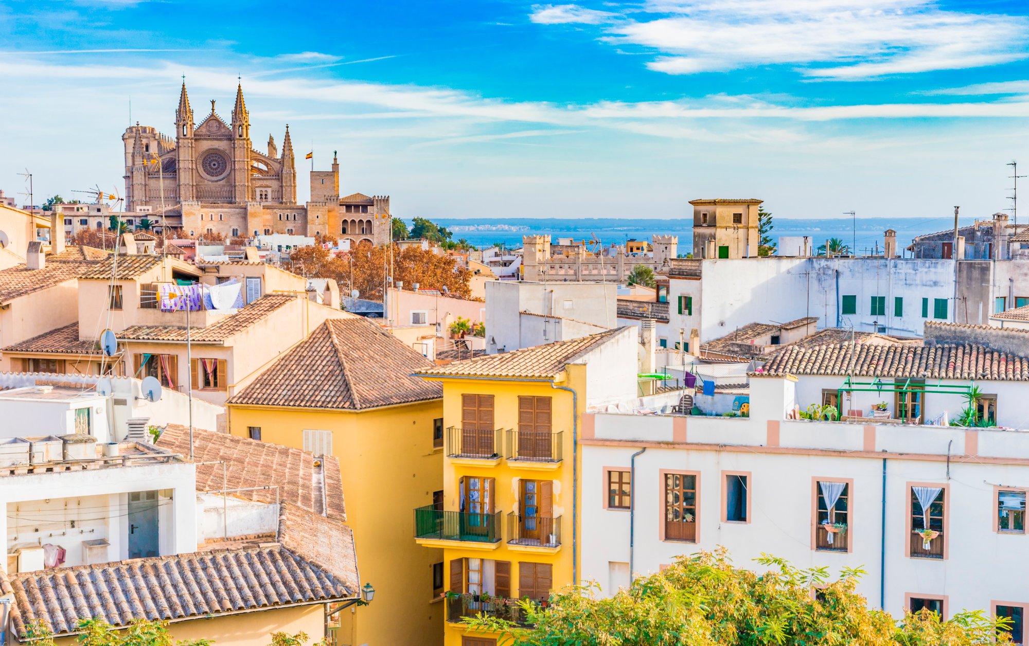 Ansicht Palma Mallorca Altstadt Kathedrale