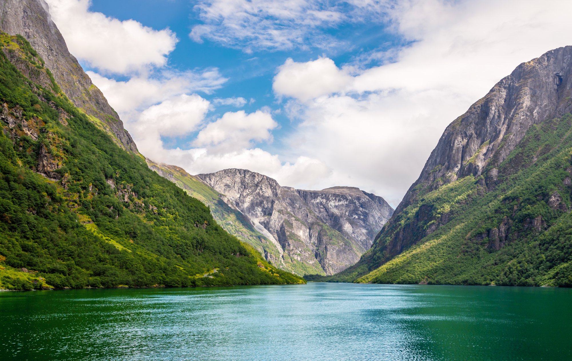 Fjord im Sommer