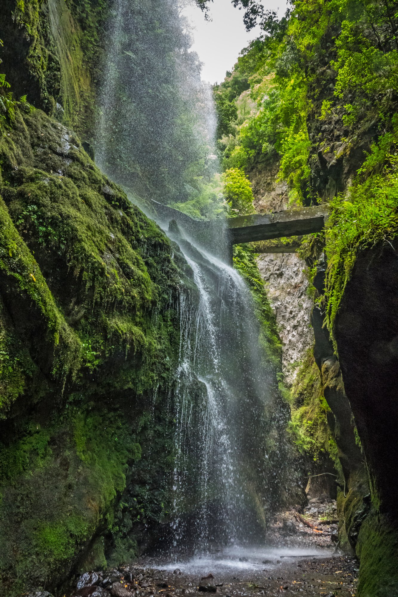 Waterfall in Los Tilos park in La Palma, Canary Islands